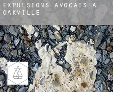 Expulsions avocats à  Oakville