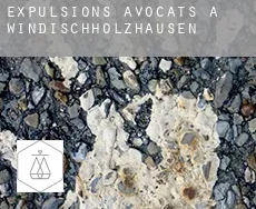 Expulsions avocats à Windischholzhausen