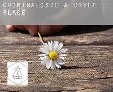 Criminaliste à Doyle Place