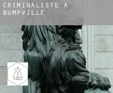 Criminaliste à  Bumpville