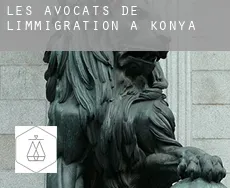 Les avocats de l'immigration à  Konya