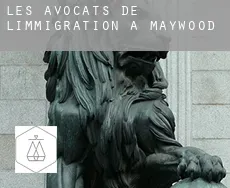 Les avocats de l'immigration à  Maywood
