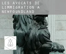 Les avocats de l'immigration à  Newfoundland