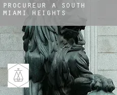 Procureur à South Miami Heights