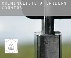 Criminaliste à Criders Corners