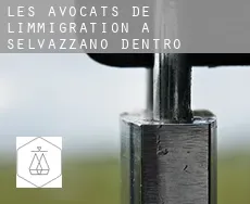 Les avocats de l'immigration à Selvazzano Dentro