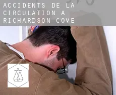 Accidents de la circulation à Richardson Cove