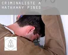 Criminaliste à Hathaway Pines