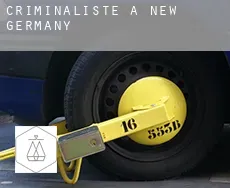 Criminaliste à  New Germany