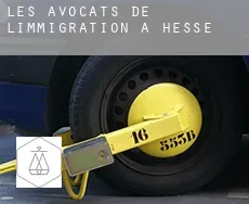 Les avocats de l'immigration à  Hesse