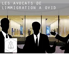 Les avocats de l'immigration à  Ovid