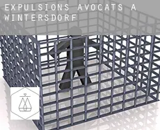 Expulsions avocats à Wintersdorf