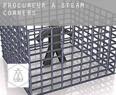 Procureur à Steam Corners