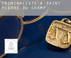 Criminaliste à Saint-Pierre-du-Champ