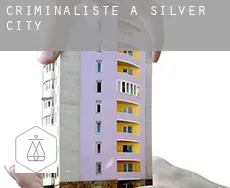 Criminaliste à Silver City