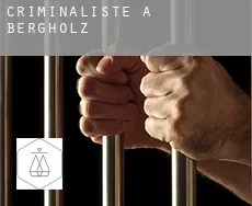 Criminaliste à Bergholz