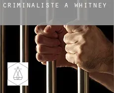 Criminaliste à Whitney
