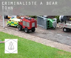 Criminaliste à  Bear Town