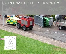 Criminaliste à Sarrey