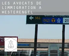 Les avocats de l'immigration à  Westerengel