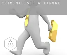 Criminaliste à Karnak