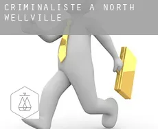 Criminaliste à North Wellville