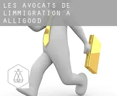 Les avocats de l'immigration à  Alligood