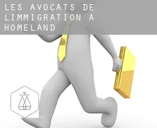 Les avocats de l'immigration à  Homeland