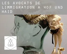 Les avocats de l'immigration à  Höf und Haid