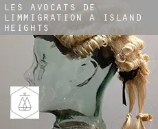 Les avocats de l'immigration à  Island Heights