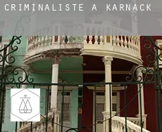 Criminaliste à Karnack