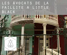 Les avocats de la faillite à Little Black