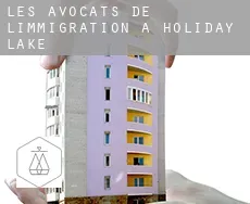 Les avocats de l'immigration à Holiday Lake
