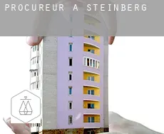 Procureur à Steinberg
