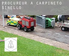 Procureur à Carpineto Sinello