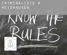 Criminaliste à Weidhausen
