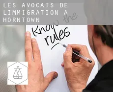 Les avocats de l'immigration à  Horntown