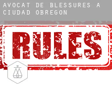 Avocat de blessures à Ciudad Obregón