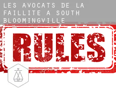 Les avocats de la faillite à South Bloomingville