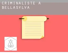 Criminaliste à Bellasylva