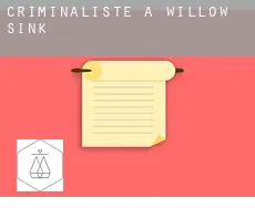 Criminaliste à Willow Sink