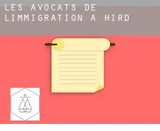 Les avocats de l'immigration à Hird
