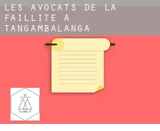 Les avocats de la faillite à Tangambalanga