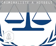 Criminaliste à  Hoeselt