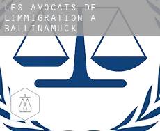 Les avocats de l'immigration à  Ballinamuck