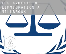 Les avocats de l'immigration à  Millbrook