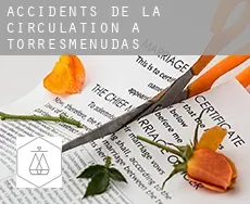 Accidents de la circulation à Torresmenudas