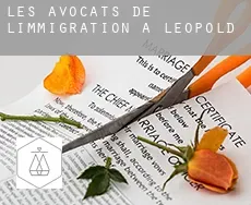 Les avocats de l'immigration à  Leopold