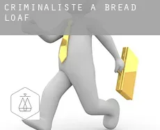 Criminaliste à Bread Loaf