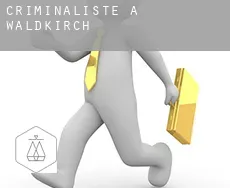 Criminaliste à Waldkirch